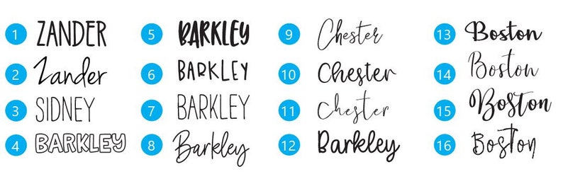 May include: A collection of sixteen names in various fonts, including "Zander", "Sidney", "Barkley", "Chester", and "Boston". Each name is enclosed in a blue circle with a number.