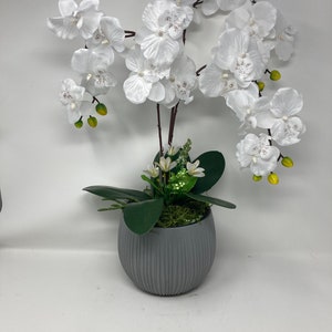 22&#39;&#39;Silk Artificial Orchid Arrangement w/Vase, Colors: Snow White, Real Touch Flowers, Artificial Flowers, Home Decor