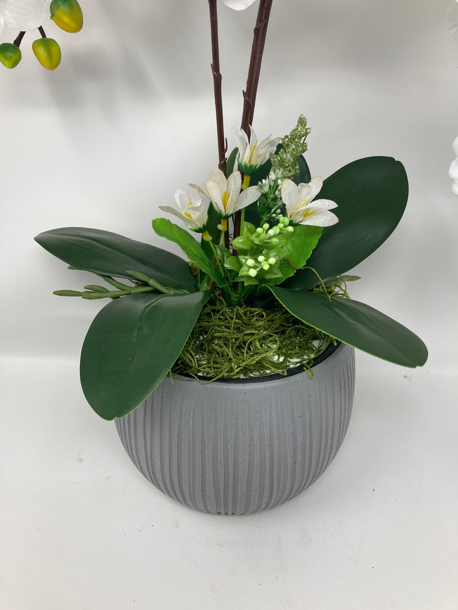 22''Silk Artificial Orchid Arrangement w/Vase Colors Etsy