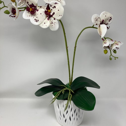 Large White Orchid Arrangement. Artificial Flowers Silk Etsy