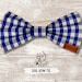 see more listings in the BOWS section