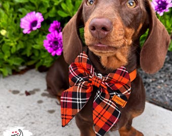 Handmade Tartan Dog Bow Tie | Pumpkin Patch Halloween Accessory