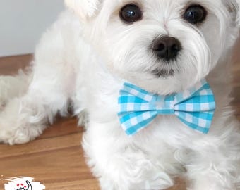 Aqua Gingham Dog Bow Tie
