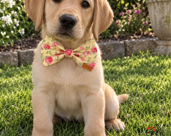 Garden Party Handmade Dog Bow Tie