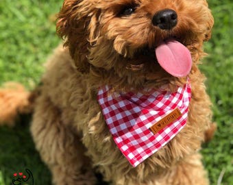 Red Gingham Handmade Tie Up Dog Bandana