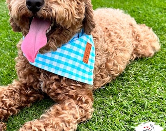 Aqua Gingham Handmade Tie Up Dog Bandana