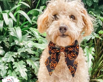 Pumpkin Patch Dog Bow Tie, Halloween Dog Bow, Handmade Pet Collar Accessory