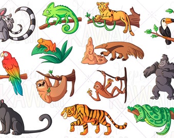 Rainforest Clipart Etsy Rainforest Clipart Etsy