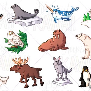 Arctic Animals Clip Art, Kawaii Arctic Animals, Animal Clip Art Bundle, Clip Art For Teachers