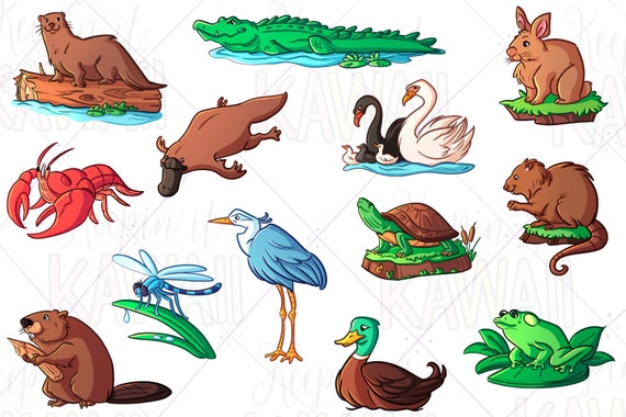 Wetland Animals Clip Art Kawaii Wetland Animals Animal Clip - Etsy New Zealand Wetland Animals Clip Art Kawaii Wetland Animals Animal Clip - Etsy New Zealand