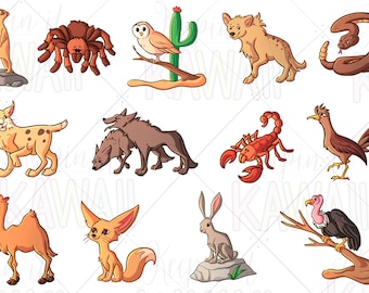 Desert Animals Clip Art, Kawaii Desert Animals, Animal Clip Art Bundle, Clip Art For Teachers