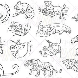 Puede incluir: Ilustraciones en blanco y negro de línea de varios animales, incluyendo un perezoso, un tigre, un tucán, un mono, un camaleón, un loro, un gorila, una serpiente, un jaguar y un oso hormiguero.