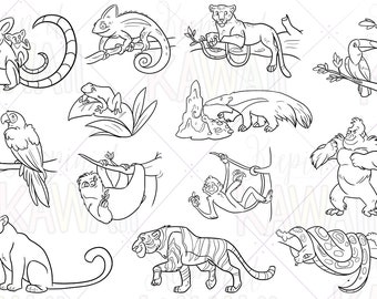 May include: Black and white line art illustrations of various animals, including a sloth, a tiger, a toucan, a monkey, a chameleon, a parrot, a gorilla, a snake, a jaguar, and an anteater.