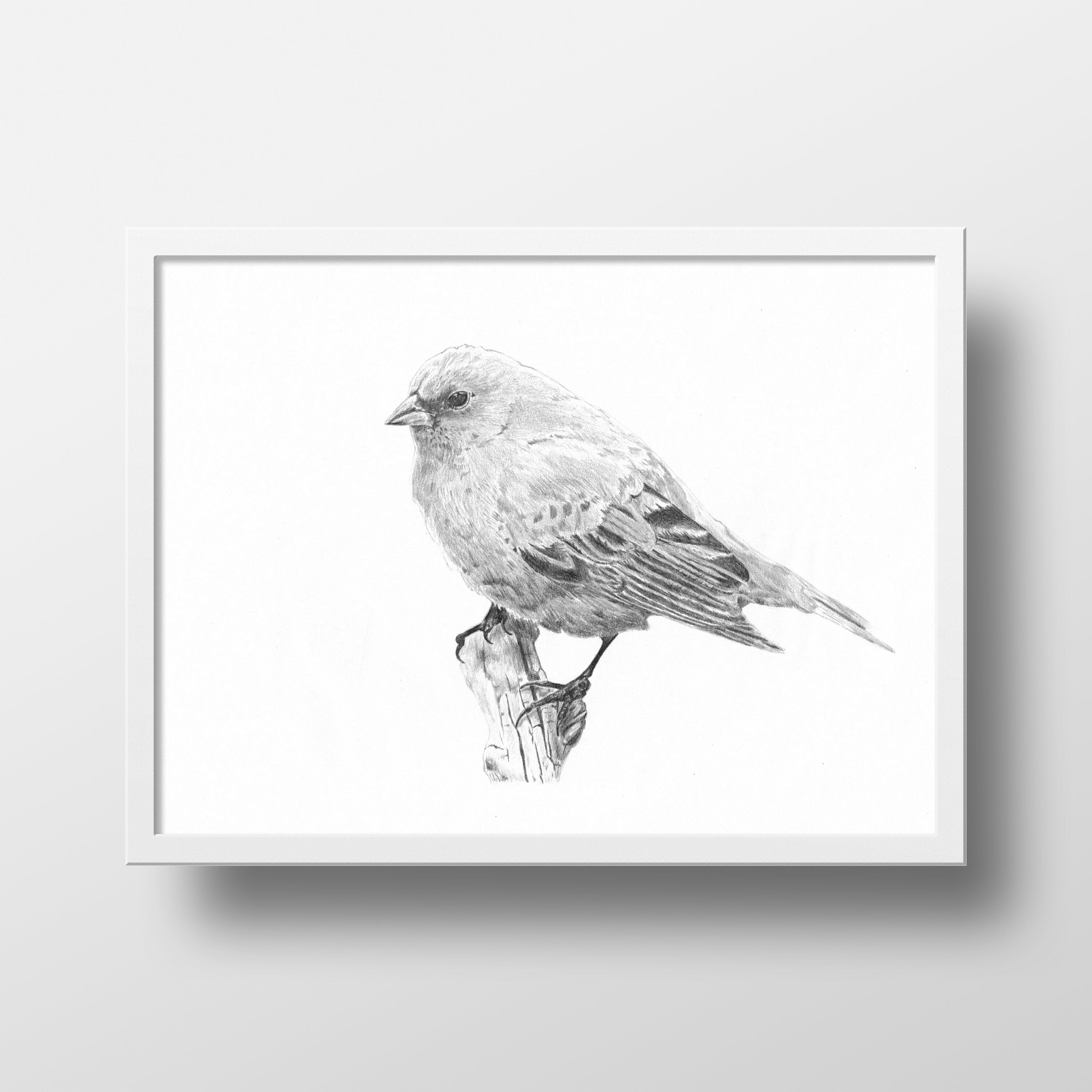 Instant Digital Download Indigo Bunting Art Print, Printable Indigo
