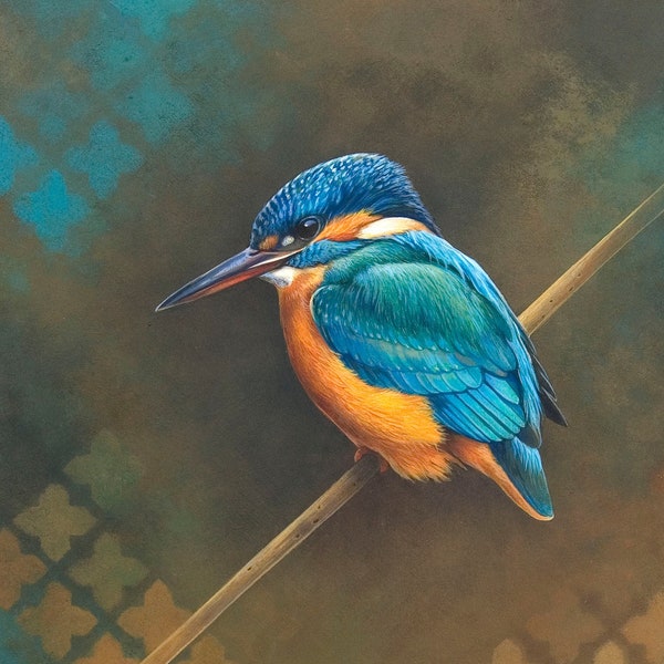 Kingfisher Calendar Etsy
