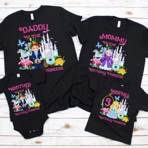 Princess Cinderella Birthday Family Shirt,  Disney Family  Cinderella Shirt, Birthday Girl Shirt, Disney Princess Birthday Girl Party Shirt