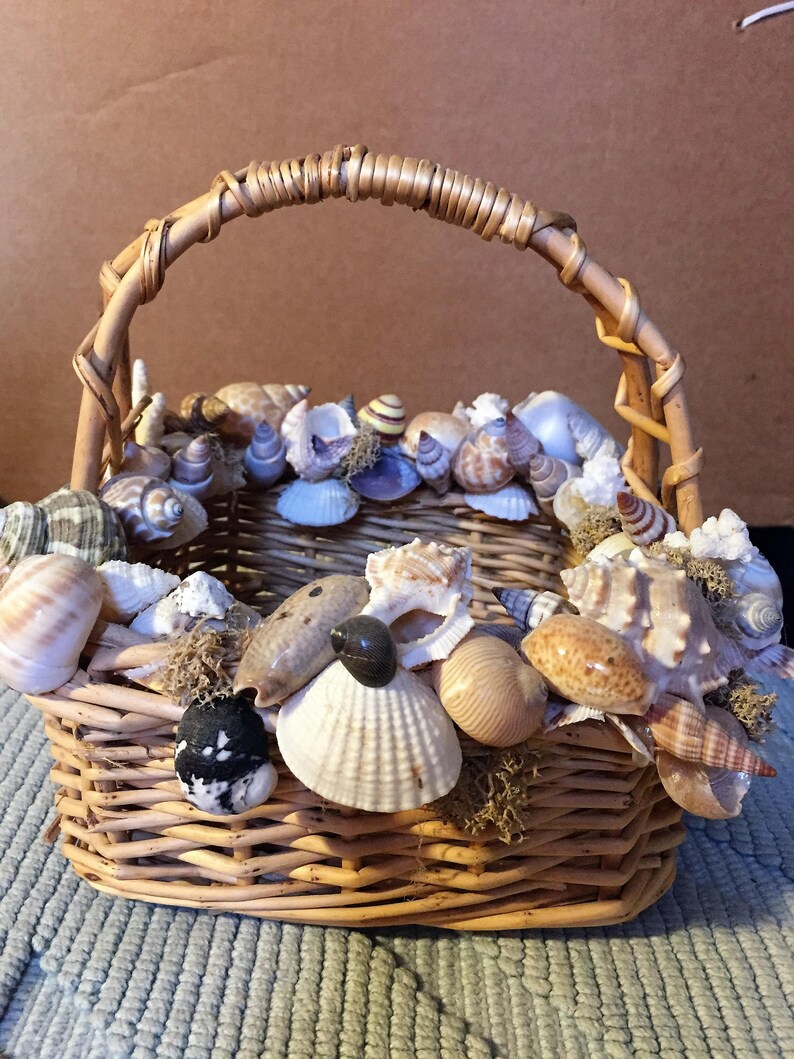 Beach Shell Basket Etsy