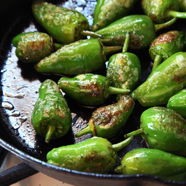 VENTE 30 Pimientos de PADRON biologiques Tapas espagnoles populaires Poivre Paprika Doux Piment PADRÓN Graines Padron Chillic Samen Semi Graines