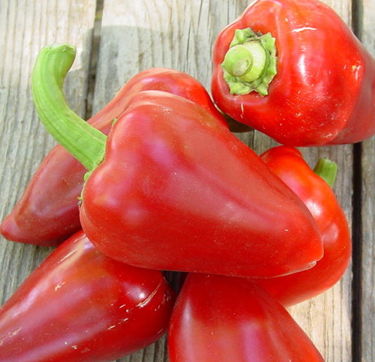 Сорта перца сладкого толстостенного для открытого грунта. Перец сладкий red ruffle pimento. толстостенный перец семена. сорта перца сладкого толстостенного. сорта болгарского перца толстостенного.