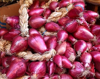 150 TROPEA LUNGA Original Italian Onion Long Tropea Seeds Zwiebel Samen Graines Zaad Zaden Sementes Siemenet Somen Frø Nasiona Semillas