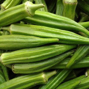 50 Organic CLEMSON SPINELESS Okra Seeds Okra Samen Semi Semillas Graines Zaad Zaden Somen Sementes Siemenet