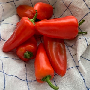 Peut inclure: Six poivrons rouges sur une serviette de cuisine à carreaux blancs et bleus.