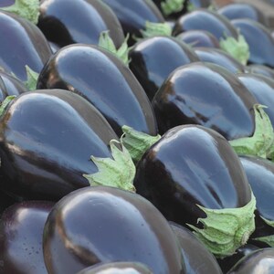 Puede incluir: Primer plano de un montón de berenjenas frescas. Las berenjenas son de color púrpura oscuro con un brillo brillante. Cada berenjena tiene un tallo y hojas verdes adjuntas. Las berenjenas están apiladas, creando una exhibición visualmente atractiva.