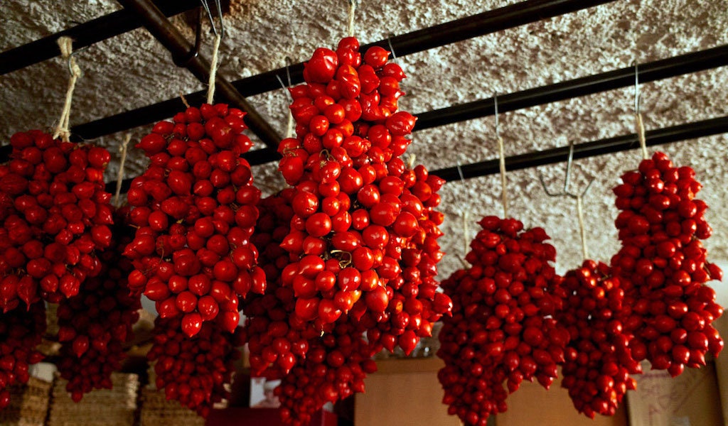 Amela tomate samen - Etsy sterreich