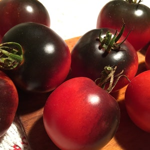 30 Organic AMERICAN BLUE Heirloom Black Tomato Tomat Pomodoro Tomate Seeds Samen Somen Sementes Zaad Zaden Graines Semi Semillas