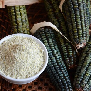 SALE 100 Seeds OAXACAN GREEN Heirloom Corn Grüner Mais Samen Zaden Zaad Somen Semi Sementi Semillas Graines Sementes Siemenet Frø Nasiona