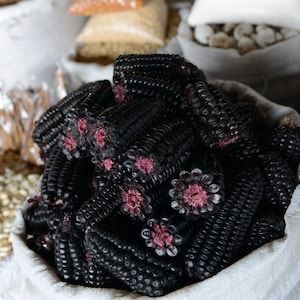 50 Semillas de Maíz MORADO Orgánico Semillas de Maíz Negro Variedad Peruana Heirloom Muy Saludable Kulli Kulli sara Chicha Morado
