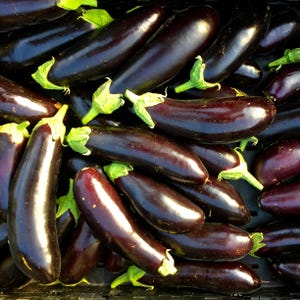 Puede incluir: Primer plano de un montón de berenjenas frescas. Las berenjenas son de un color púrpura intenso y brillante, con tallos y hojas verdes. Las verduras están dispuestas muy juntas, llenando el encuadre.