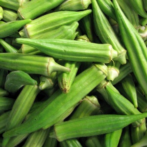 50 Organic CLEMSON SPINELESS Okra Seeds - One of the most popular, prolific and reliable varieties Gambo Seeds Grren Okra