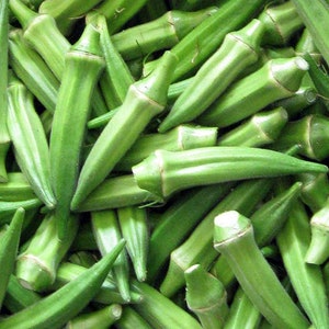 30+ Seeds CLEMSON SPINELESS Okra Samen Semi Semillas Graines Zaden Somen Sementes Siemenet Somen Frön Sēklas