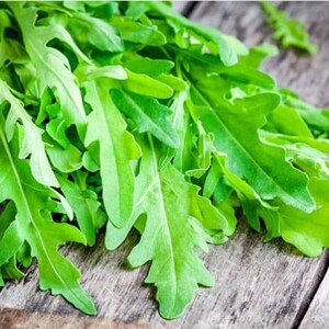 300 Wild Rocket Seeds Rucola Rukola Wilde Rauke Arugula Samen Graines Nasiona Frø Zaad Zaden Somen Sementes Siemenet Semi Sementi Semillas
