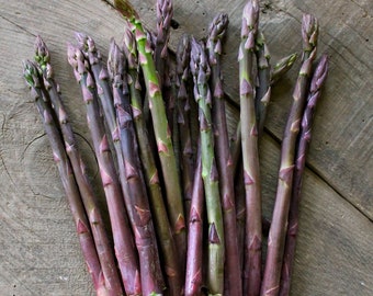 May include: A bunch of purple asparagus spears with green tips, arranged on a wooden surface.