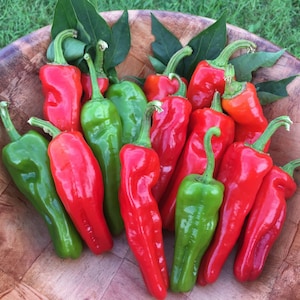 May include: A bowl filled with red and green peppers. The peppers are long and slender, with a slightly curved shape.