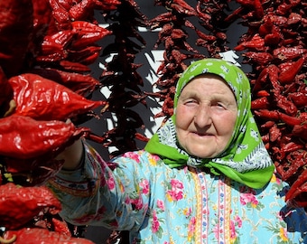 50 sementes de pimentão húngaro – Kalocsa Paprika, tempero tradicional