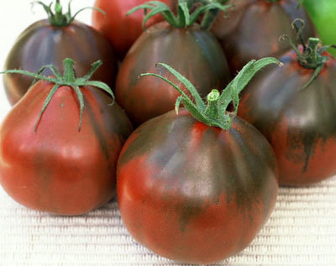 20 BLACK TRUFFLE Tomato Seeds Organic Heirloom One of the Etsy 日本