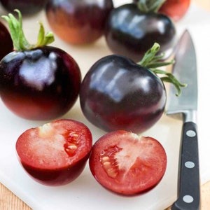 SALE 50 Organic AMERICAN BLUE Heirloom Black Tomato Tomat Pomodoro Tomate Seeds Samen Somen Sementes  Zaad Zaden Graines Semi Semillas