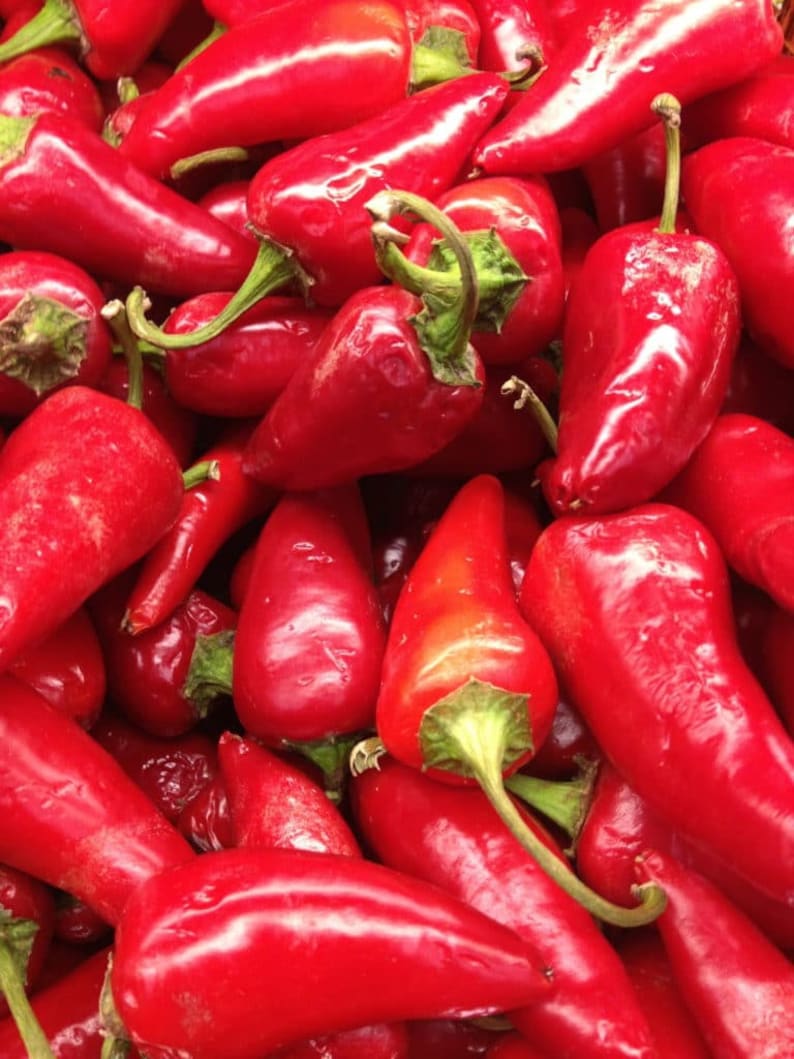 SALE 100 Original Hungarian Spicy Mild Hot Pepper Seeds for Etsy
