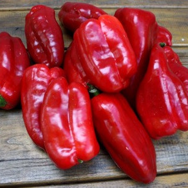 SALE 100 Organic KAPIA Sweet Red pepper Seeds NonGMO Hungarian Variety Vegetable Seeds