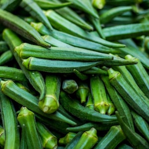 May include: A close-up of a pile of fresh okra. The okra pods are a vibrant green colour, with a slightly ridged texture and pointed tips. The image is well-lit, highlighting the freshness of the vegetables.