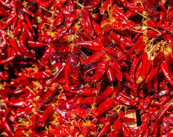 50 Kalocsa-paprikazaden: Hongaarse heirloompaprika