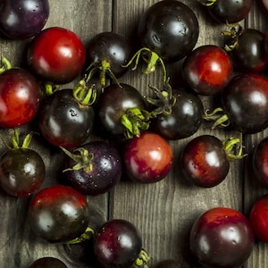 50 DANCING WITH SMURFS Tomato Seeds Tomate Samen Semi Zaden Semillas Nasiona Somen Frø Graines Pomodoro Tomat Pomidor