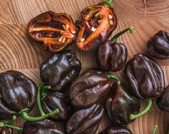 Pepper, Sweet, Habanada , Sweet Non-Bell Pepper Seeds: Totally Tomatoes - Foto 5