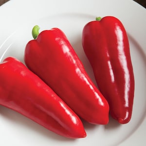 VENDITA 50 Semi di peperone rosso ungherese dolce KAPIA biologico Non OGM Paprika Poivron Samen Somen Zaad Zaden Sementes Siemenet Semi Graines Somen