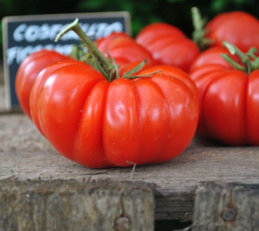 Pomodoro Costoluto (da palo) Costoluto Fiorentino: Varietà e Formati Disponibili Pomodoro Costoluto (da palo) Costoluto Fiorentino: Varietà e Formati Disponibili