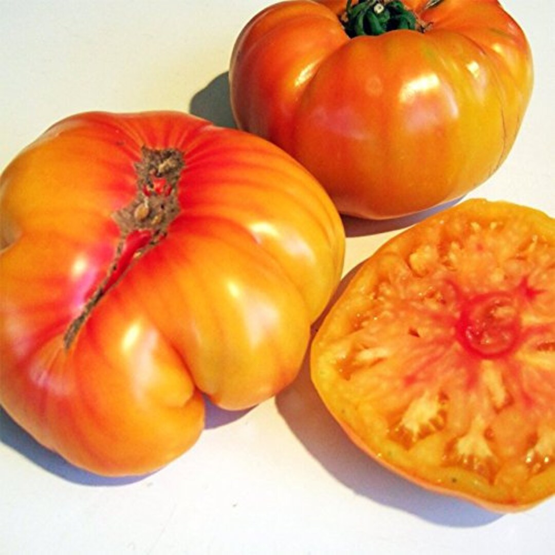 40 Organic OLD GERMAN Heirloom Tomato Seeds Tomate Samen Semi Etsy Canada