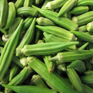 50 CLEMSON SPINELESS Okra Seeds Okra Samen Semi Semillas Graines Zaad Zaden Somen Sementes Siemenet